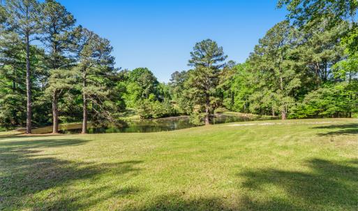 Pond View from house
