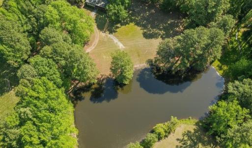 Pond