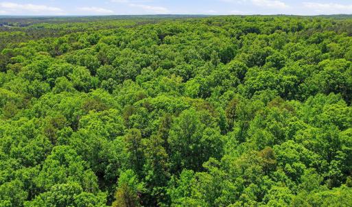 2-web-or-mls-0 Lakestone Estate Dr-14