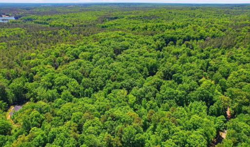 3-web-or-mls-0 Lakestone Estate Dr-24