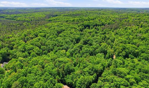 4-web-or-mls-0 Lakestone Estate Dr-39