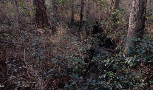 11_beyc69f11ca230c85