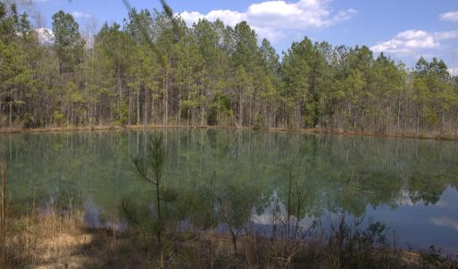 15_beyc69f11cc98749b