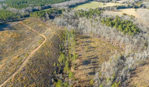 06-006-Chatham-Parcel-8664-Tract3-202501