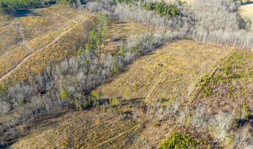09-009-Chatham-Parcel-8664-Tract3-202501
