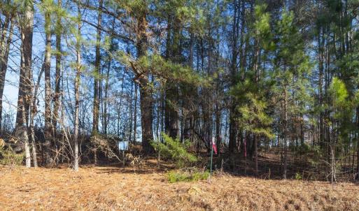 10-010-Chatham-Parcel-8664-Tract3-202501
