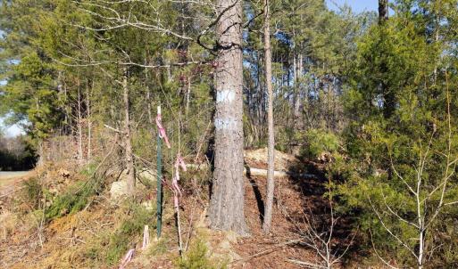 15-015-Chatham-Parcel-8664-Tract3-202501