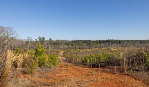 18-018-Chatham-Parcel-8664-Tract3-202501