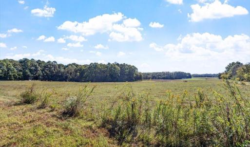 Pretty Meadows