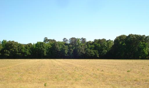 DSC09301