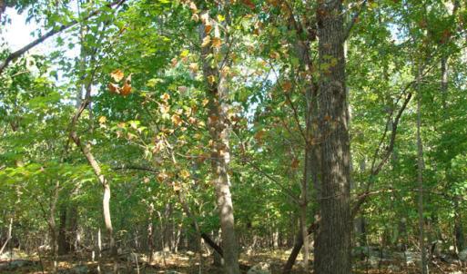 DSC01530_640x480