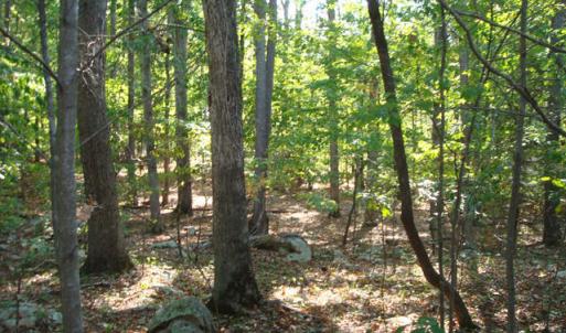 DSC01527_640x480