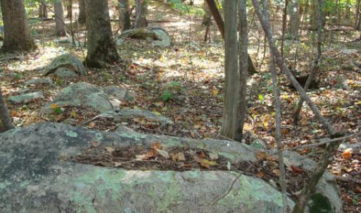 DSC01528_480x640