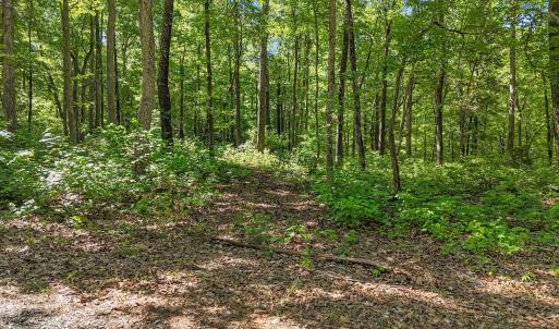 6-web-or-mls-DJI_20260504103355_0563_D