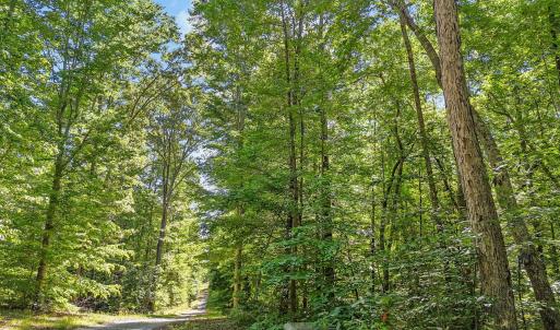 7-web-or-mls-DJI_20260504103456_0564_D