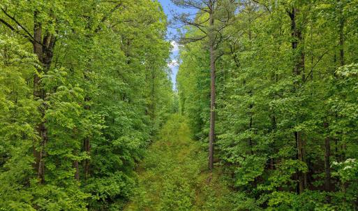 12-Pocomoke Lots_ (11)