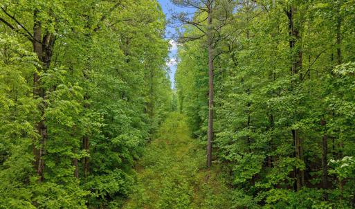12-Pocomoke Lots_ (11)
