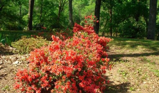 OLDE FERRY SPRINGTIME LOTS 1-20 (7)