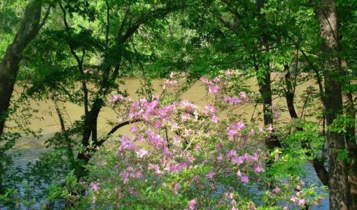 OLDE FERRY SPRINGTIME LOTS 1-20 (8)