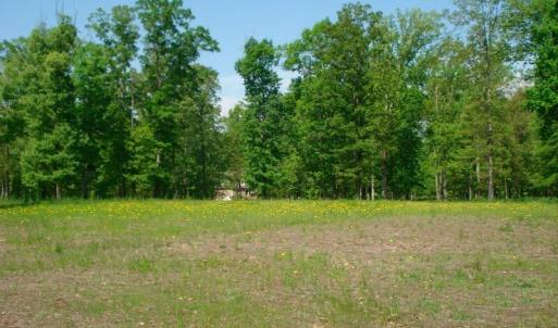 OLDE FERRY SPRINGTIME LOTS 1-20 (52)
