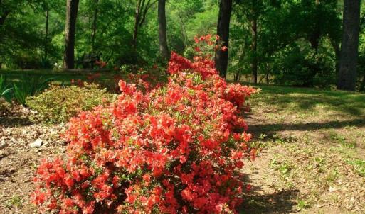 OLDE FERRY SPRINGTIME LOTS 1-20 (7)