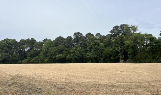 10 acres pic 3