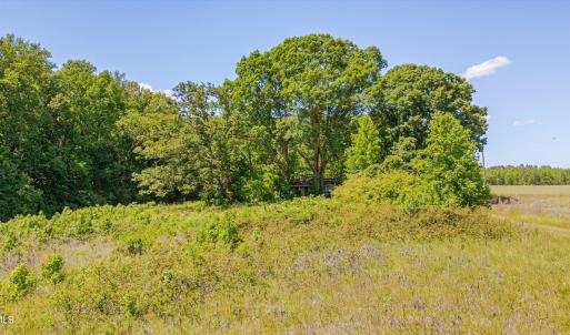 18-3454 Shearin Rd-17