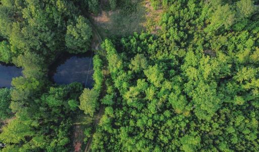 11-DJI_0164