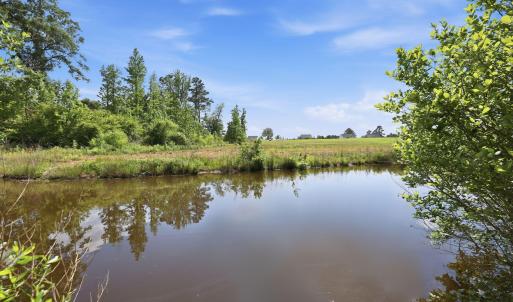 11-web-or-mls-IMG_3383
