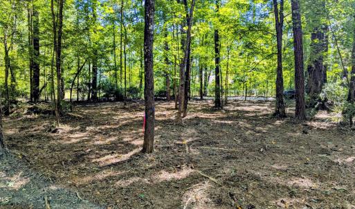 Photo #4 of Lot 1 Blueberry, Chapel Hill, NC 6.7 acres