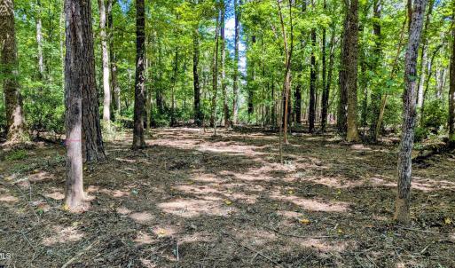 Photo #5 of Lot 1 Blueberry, Chapel Hill, NC 6.7 acres