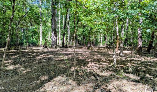 Photo #3 of Lot 1 Blueberry, Chapel Hill, NC 6.7 acres