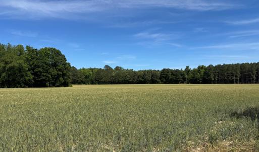 Field Photo 2