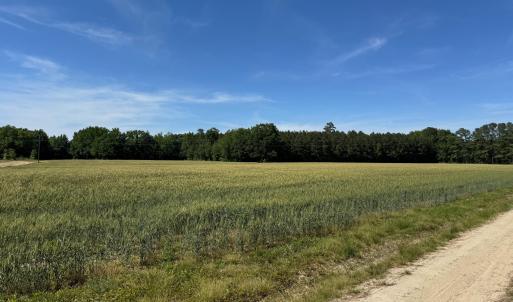 Field Photo