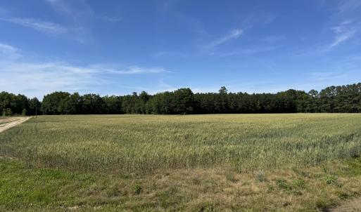 Site Photo 1