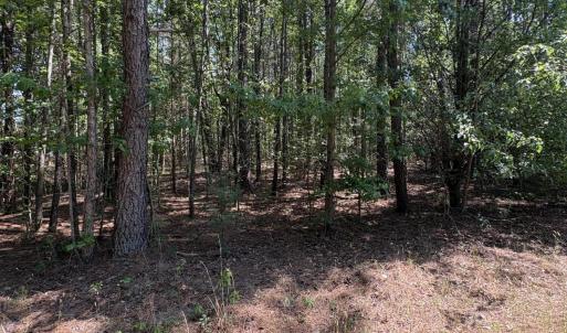 0 Jaback Wooded area