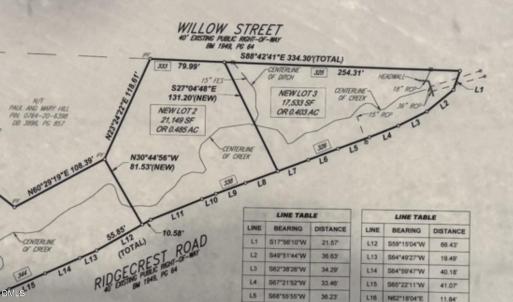 Willow Survey