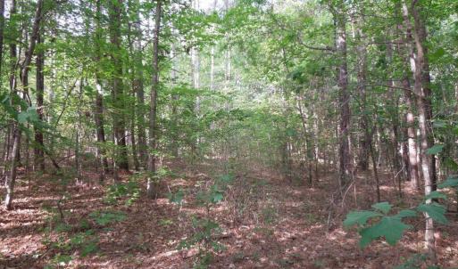 DSCN0484