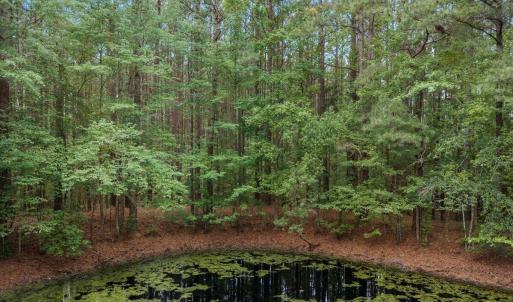 7129 Trappers Court, Zebulon