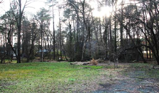 IMG_8010 rear yard r