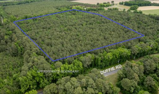 3Copy of MLS_22.25acres_Hoke-5