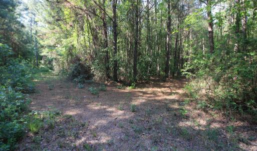Copy of Ground West Parcel Trail Interse