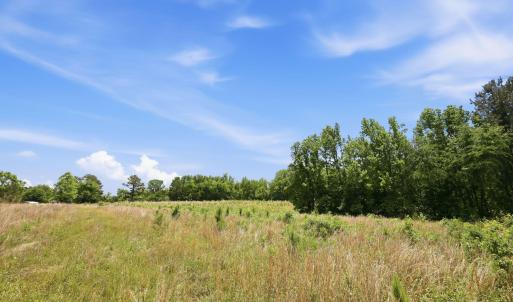 Photo #11 of Pope, Creedmoor, NC 30.0 acres
