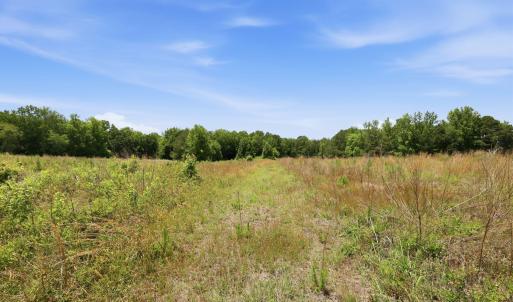 Photo #16 of Pope, Creedmoor, NC 30.0 acres