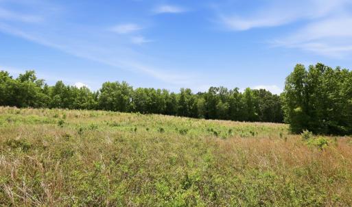 Photo #17 of Pope, Creedmoor, NC 30.0 acres