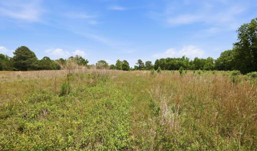 Photo #18 of Pope, Creedmoor, NC 30.0 acres