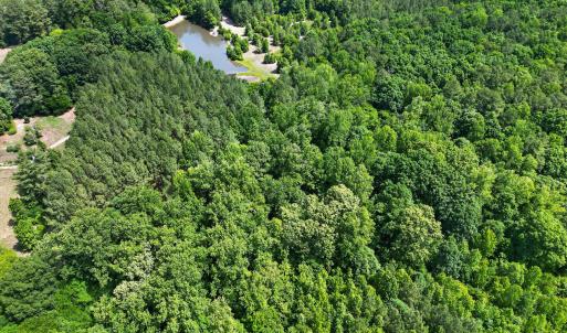 007_DJI_0316