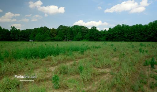 Sampson County Property Still Photo13