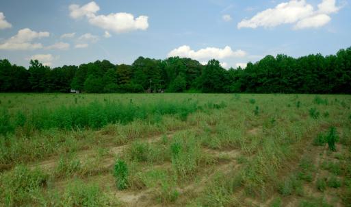 Sampson County Property Still Photo13-1