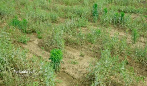 Sampson County Property Still Photo14